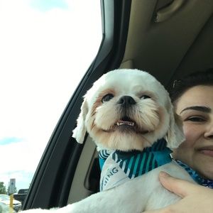 Meet your Posher, Yasameen